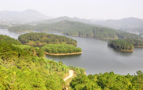 Đại lý vé máy bay tại Huyện Sơn Động