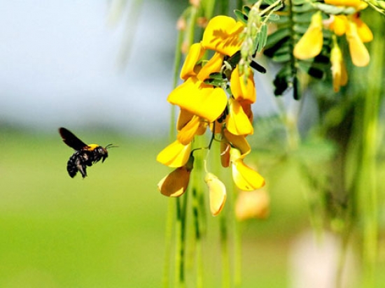 Đại lý vé máy bay tại Huyện Tân Thạnh