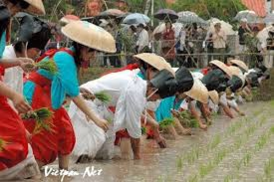 Thích thú khi tham gia lễ hội Mibu No Hana Taue, Hiroshima Nhật Bản