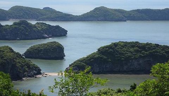 Đại lý vé máy bay tại Huyện Tiên Lãng