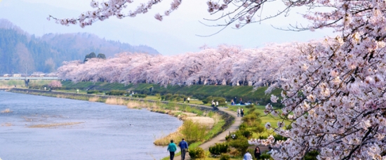 Vé máy bay đi Tokyo