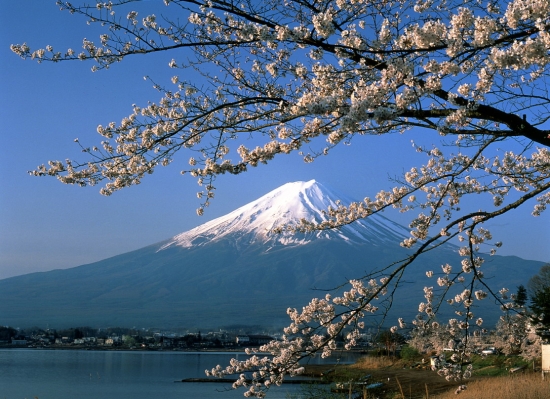  Vé máy bay Sài Gòn đi Tokyo