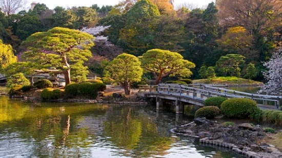 Vé máy bay giá rẻ từ Sài Gòn đi Tokyo