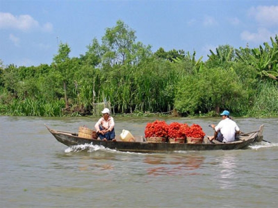 Hướng dẫn đặt vé máy bay đi Rạch Giá qua mạng