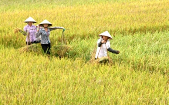 Đại lý vé máy bay tại Huyện Vĩnh Bảo
