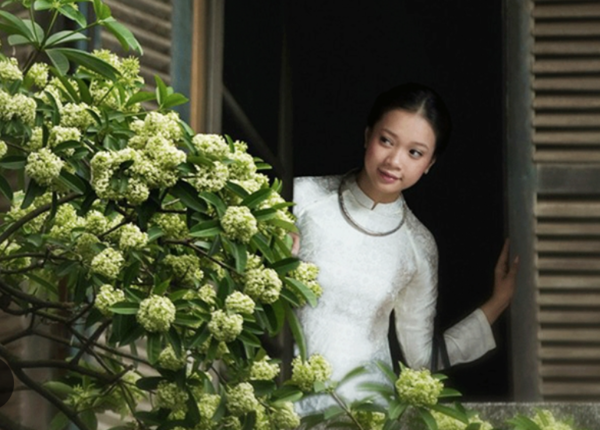 Hà Nội níu chân bao trái tim bởi hương hoa sữa thơm nồng mùa thu