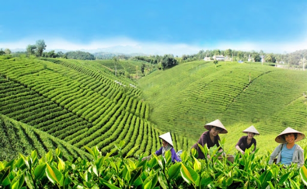 Đại lý vé máy bay tại Thái Nguyên