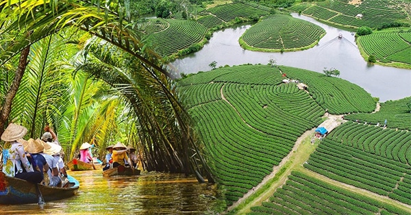 Vé máy bay Cần Thơ Vinh