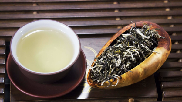 chè Shan tuyết - Thức trà gói trọn hương vị của núi rừng