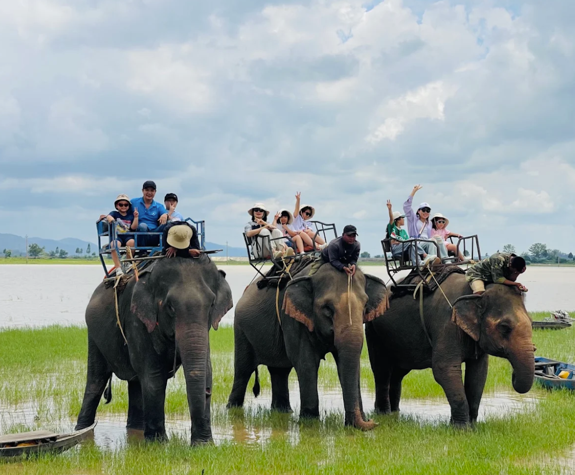 Trải nghiệm cưỡi voi tại Hồ Lắk Buôn Ma Thuột